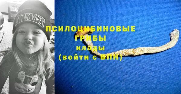 ешки Волосово